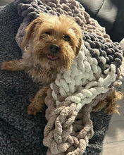 Load image into Gallery viewer, Sat January 31 11am Getting Loopy Chunky Blanket Workshop