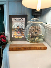Load image into Gallery viewer, Sat Oct 11 11am Ocean Resin Pour Pet Portrait Treat Jar and Home Made Dog Treats Workshop