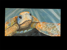 Load image into Gallery viewer, Sun Aug 3 11am "Skittles" the Sea Turtle Workshop