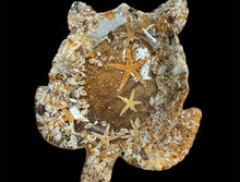 Load image into Gallery viewer, Thur Nov 13 11am 3 Foot Sea Turtle Resin Table Scape Workshop