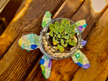 Load image into Gallery viewer, Sun Feb 22 10am FUNDRAISER FOR GAMBLE ROGERS SEA TURTLE PATROL~ Large 12" Sea Glass Sea Turtle Succulent Garden Workshop
