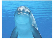 Load image into Gallery viewer, &quot;Bubbles Up&quot; Dolphin Tissue
