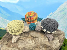 Load image into Gallery viewer, Sun July 27 11am Sea Turtle Chunky Yarn Pillow
