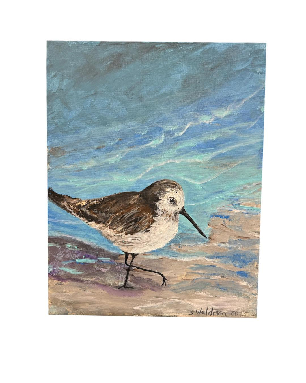 Sun May 25 11am Sandpiper in Acrylics Workshop