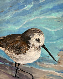 Sun May 25 11am Sandpiper in Acrylics Workshop