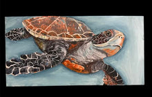 Load image into Gallery viewer, Sun October 12 11am Snickers the Sea Turtle Workshop
