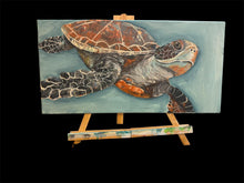 Load image into Gallery viewer, Sun October 12 11am Snickers the Sea Turtle Workshop
