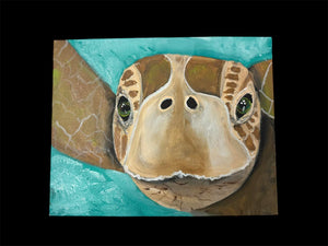 Fri Aug 22 11am Coffee and Canvas Sea Turtle Workshop
