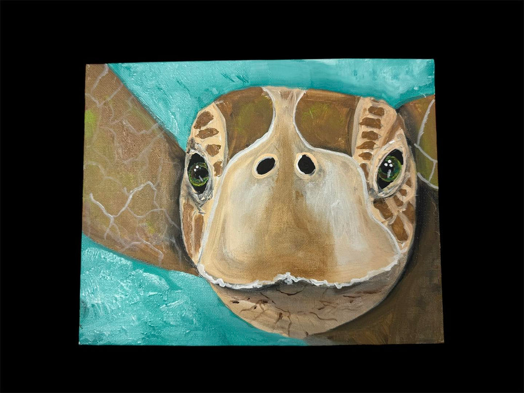 Fri Aug 22 11am Coffee and Canvas Sea Turtle Workshop