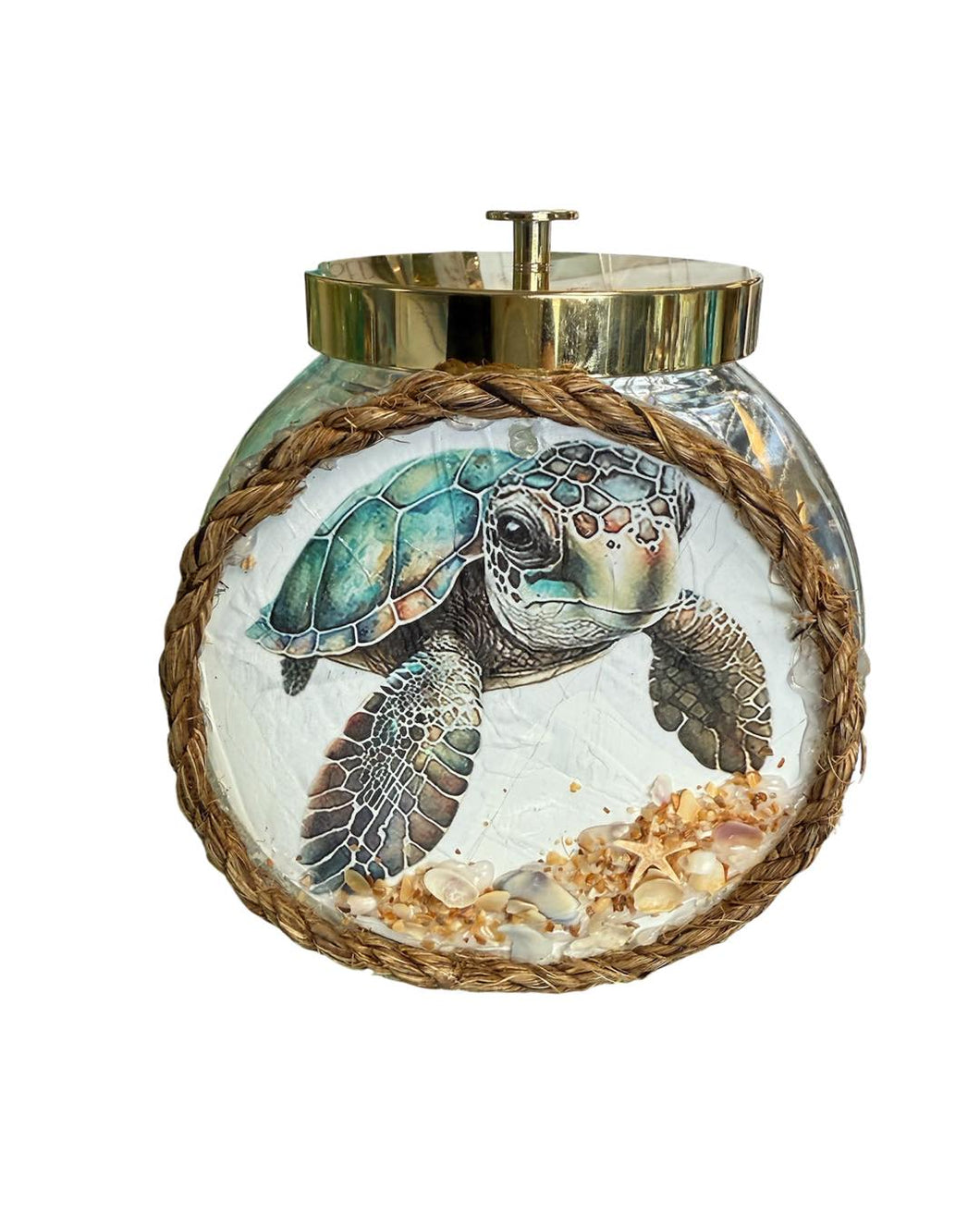 Sun Oct 19 11am MAKE IT TAKE IT SUNDAYS Bohdi The Sea Turtle Canister