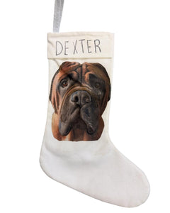 Sat Nov 9 11am Pet Portrait Stocking and Stuffing Station