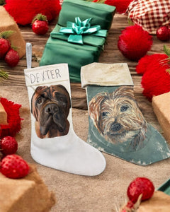Sat Nov 9 11am Pet Portrait Stocking and Stuffing Station