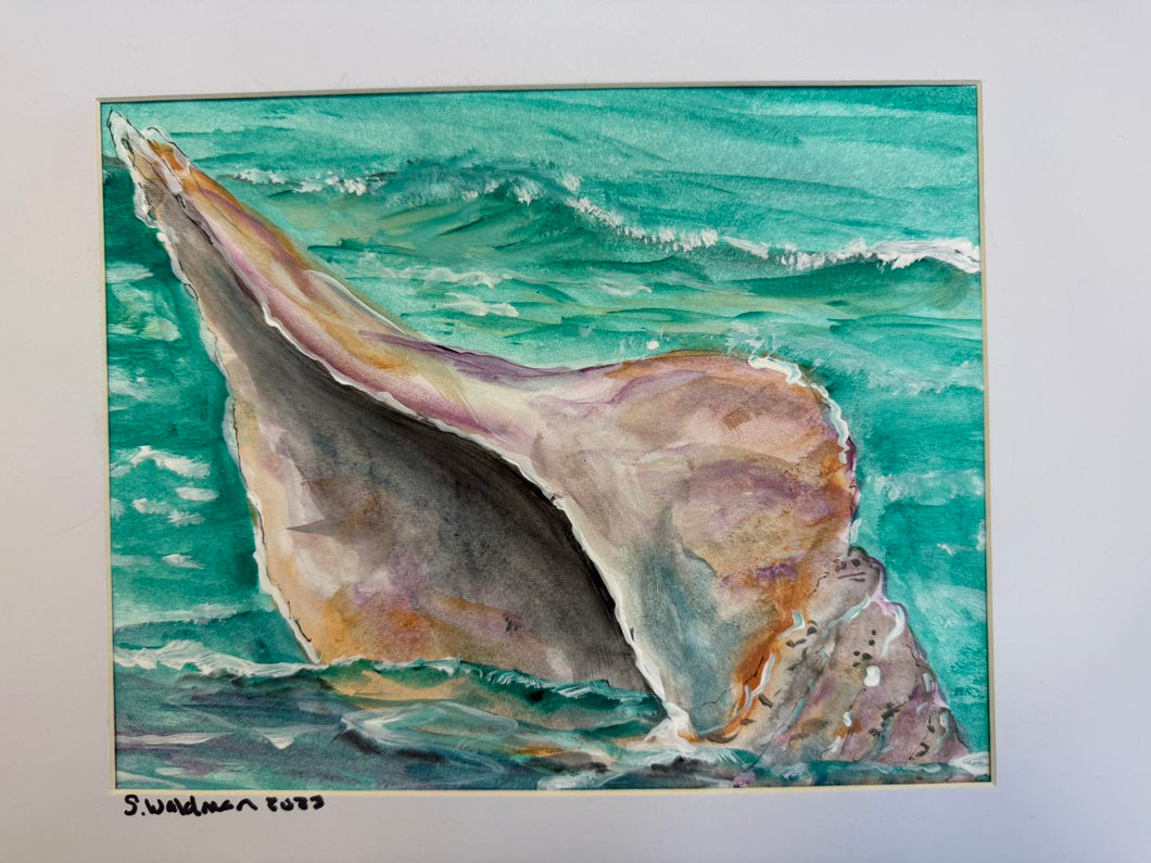 Thur Oct 23 8am Coffee and Canvas Carribean Shell Workshop