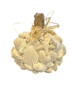 Sat Oct 18 11am Faux Sea Shell Carved Pumpkin Workshop