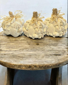 Sat Oct 18 11am Faux Sea Shell Carved Pumpkin Workshop
