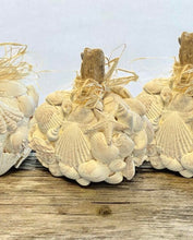 Load image into Gallery viewer, Sat Oct 18 11am Faux Sea Shell Carved Pumpkin Workshop
