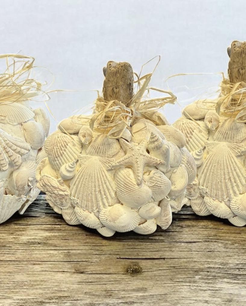 Sat Oct 18 11am Faux Sea Shell Carved Pumpkin Workshop