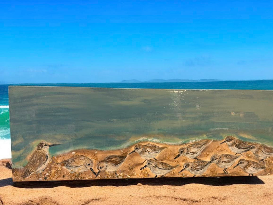 Thur Oct 30 11am Sandpiper 10x30 Canvas
