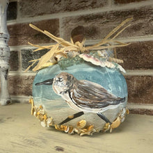 Load image into Gallery viewer, Fri Oct 31 8am Coffee and Canvas Sandpiper Pumpkin
