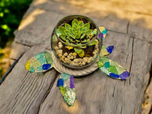 Load image into Gallery viewer, Sun Feb 22 10am FUNDRAISER FOR GAMBLE ROGERS SEA TURTLE PATROL~ Large 12" Sea Glass Sea Turtle Succulent Garden Workshop
