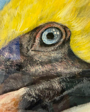 Load image into Gallery viewer, Sun Aug 9 11am Pelican Study 11x14 Acyrlics
