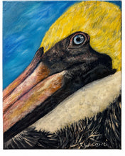 Load image into Gallery viewer, Sun Aug 9 11am Pelican Study 11x14 Acyrlics
