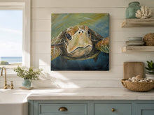 Load image into Gallery viewer, Sat Aug 15 11am Buster the Sea Turtle Workshop
