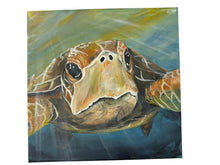 Load image into Gallery viewer, Sat Aug 15 11am Buster the Sea Turtle Workshop
