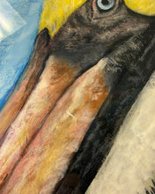 Load image into Gallery viewer, Sun Aug 9 11am Pelican Study 11x14 Acyrlics
