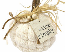 Load image into Gallery viewer, Thur Sept 24 11am Fall in Love Getting Loopy Pumpkins
