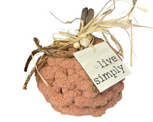 Load image into Gallery viewer, Thur Sept 24 11am Fall in Love Getting Loopy Pumpkins
