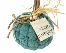 Load image into Gallery viewer, Thur Sept 24 11am Fall in Love Getting Loopy Pumpkins
